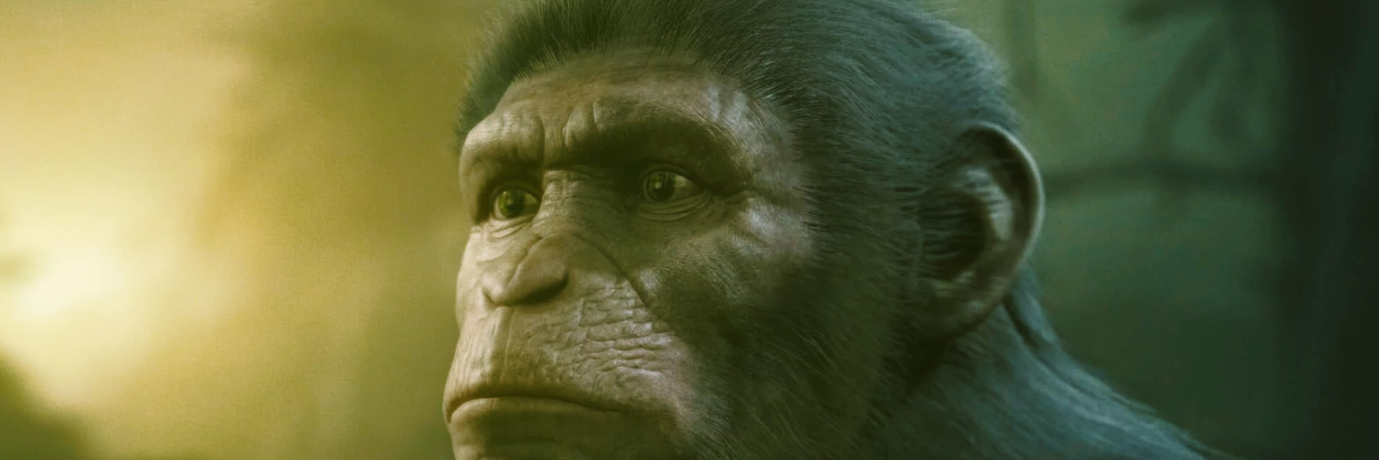 Andy Serkis Ushers 'planet Of The Apes' Brand Into Video Games